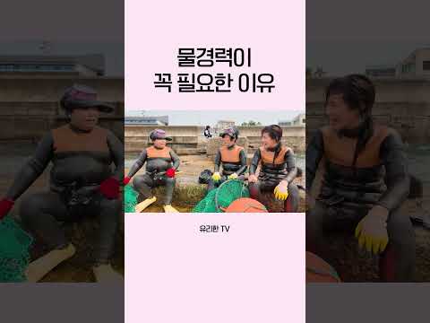 신입과 고인물의 차이 thumbnail