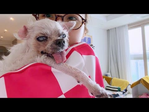느릿느릿한 ㅇㅏㄴㅏ일상(10) thumbnail