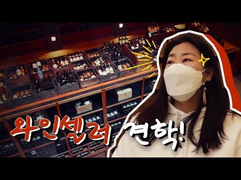 (ENG SUB) 분위기 잡고 와인 한 잔 하고 싶게 만드는 와인셀러 견학 🍷 (+ 쿠키영상 있음 😎) thumbnail