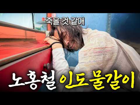 럭키가이 노홍철도 피하지 못한 역대급 인도 물갈이 thumbnail