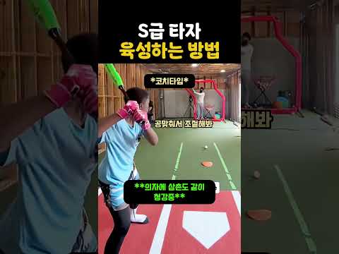 S급 타자 제대로 키워보기 thumbnail