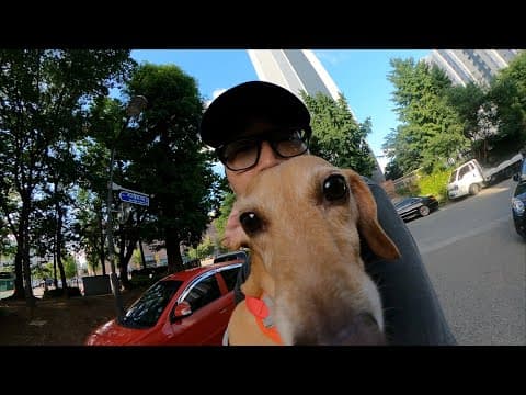 7월 보고서 thumbnail