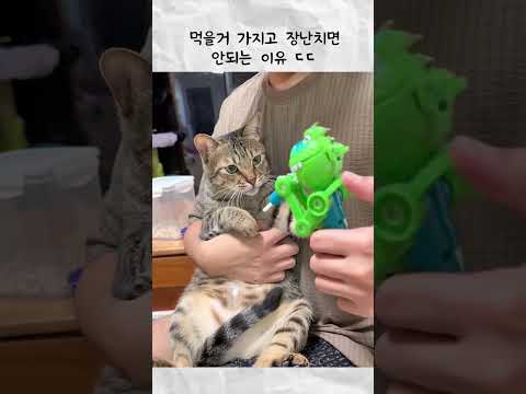 먹을거 가지고 장난치면 안되는 이유 thumbnail
