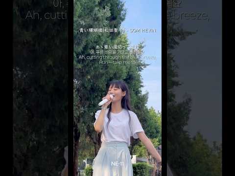 青い珊瑚礁 - SOM HEVIN COVER #cover thumbnail
