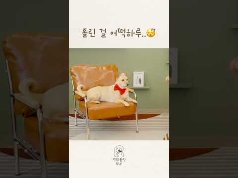 하루는 졸려워요..ᶻ 𝗓 𐰁 ᶻ thumbnail