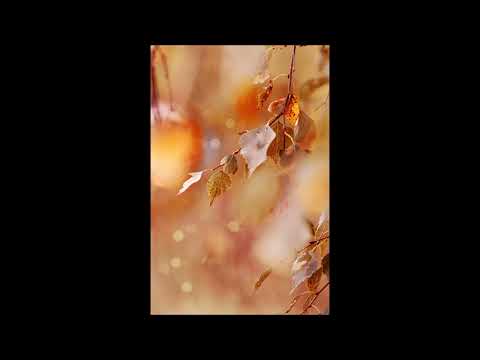 July - Autumn Wind thumbnail