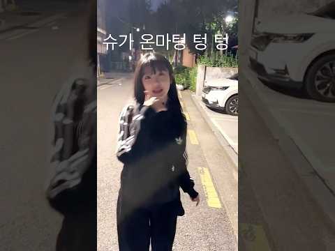 슈가 온 마텅👅 thumbnail