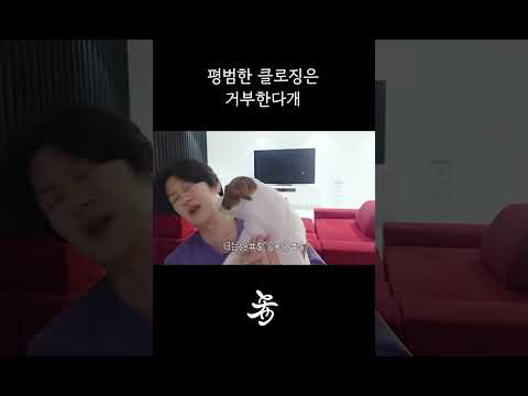 우심뽀까 thumbnail