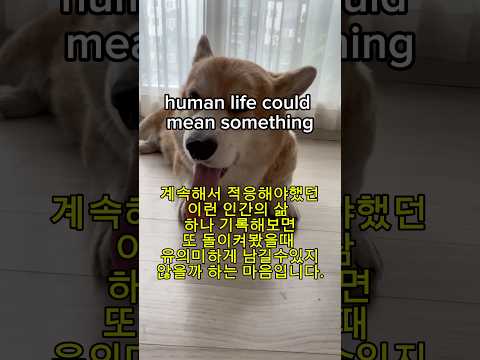 📹Documenting a human.. Starts soon #JanetSuhh #daily #vlog #musician #life  #adayinmylife #hectic thumbnail