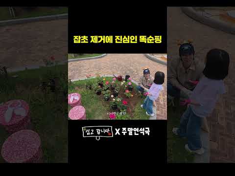 잡초 제거에 진심인 똑순핑 (EN) #심고갑니다 thumbnail