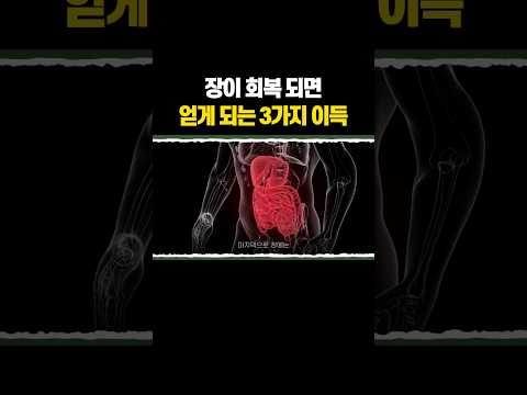 인지 능력, 면역 기능, 체력 상승 효과 thumbnail