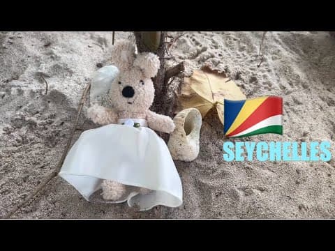Honeymoon 2🌹 참새와 자이언트거북과 과일박쥐와 , 세이셸 라디그여행, 가장 행복했던 3박4일 thumbnail