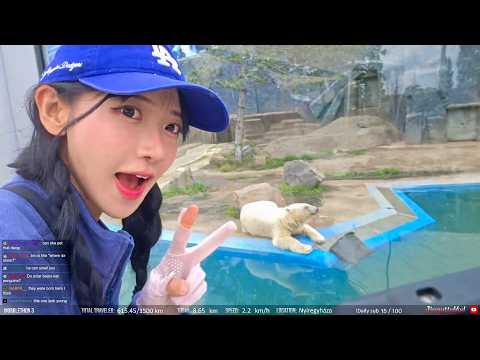 🚵‍♀️DAY 9 WOBBLETHON S3 [POLAND TO ROMANIA 1500KM CYCLE CHALLENGE] HUNGARY [ Part 1 ] 2026 05 19 thumbnail