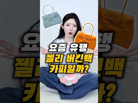 요즘 유행 '젤리 버킨백',사도 될까? thumbnail