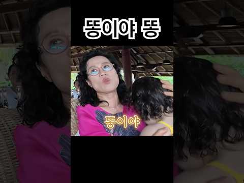 임신 아니고 똥 thumbnail