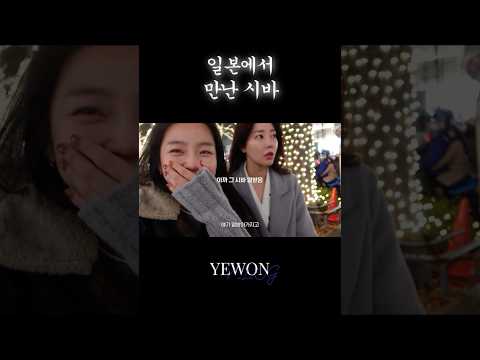 일본에서 만난 시바 thumbnail
