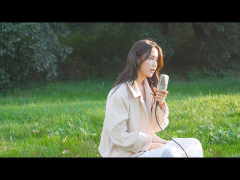 [MV] 노르웨이 숲 (Norwegian Wood) - SHINE (Feat. Yooin(유인) thumbnail