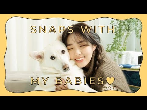 (EN) 마타 판다랑 스냅촬영 했어요🐶 thumbnail