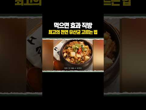 "비싼 유산균 사지 마세요" 일상에 살아 있는 진짜 유산균 thumbnail