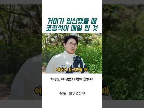 거미가 임신했을 때 조정석이 매일 한 것 thumbnail