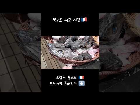 눈이 재미있던 #툴루즈 #빅토르위고시장 #추천 #여행지추천 #도보여행 #유럽브이로그 #프랑스남부 #프랑스남부 #vlog #먹방 thumbnail