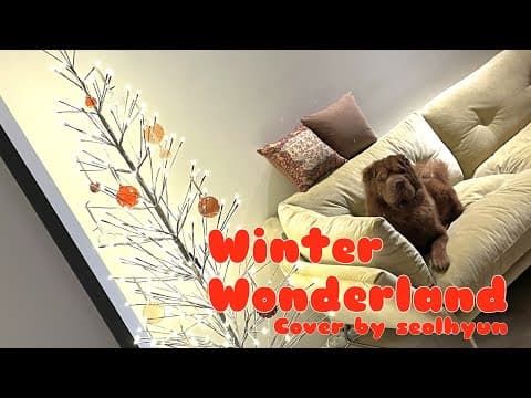 'Winter Wonderland - Amy Grant' (Cover by SEOLHYUN) | 설현 Cover | 눈이 부시게 by 설현 thumbnail