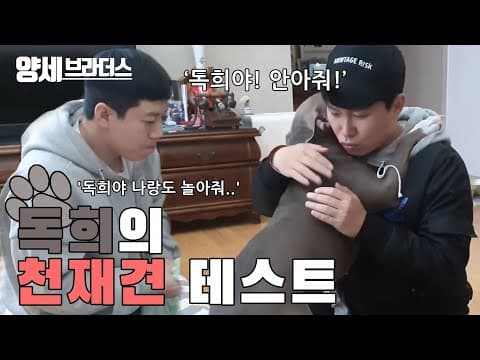 독희천재견 테스트!!!good girl🦴🦴🦴 thumbnail