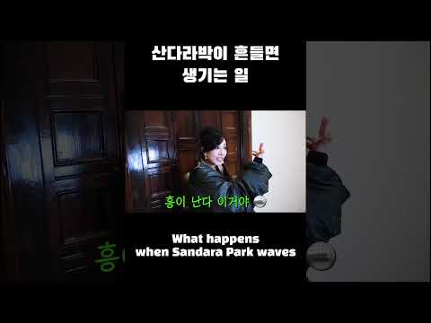 흥다라박 thumbnail