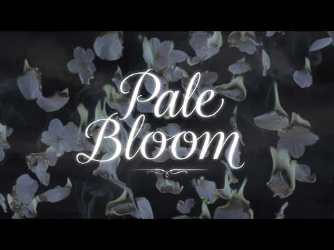 Warak - Pale Bloom ft.CielA ··· Music Video thumbnail