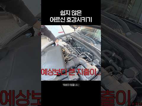 쉽지 않은 어르신 호강시키기🤣 thumbnail