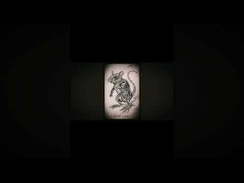 Track2.이사 Sneak Peak thumbnail