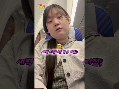 새벽 비행기 탔더니 얼굴 다른 사람됨 thumbnail