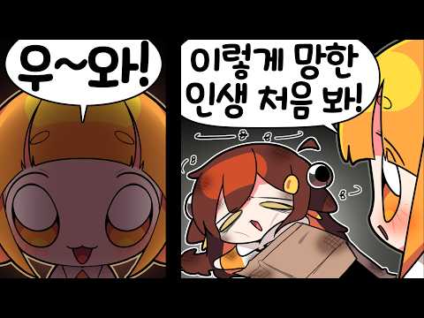 【 탬탬버린 】 - 저 거지 아니에요 진짜 왕년에 잘나갔다니까요 thumbnail