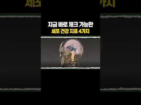 세포 건강의 4가지 지표 thumbnail