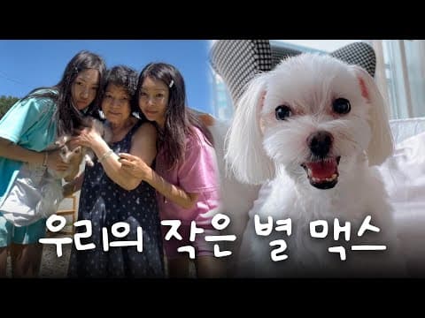 맥스와 함께했던 18년의 시간ㅣ꼭 다시 만나자 thumbnail