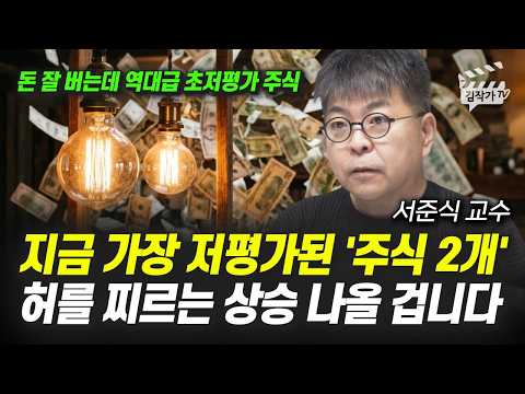 지금 가장 저평가된 '주식 2개', 허를 찌르는 상승 나올 겁니다 (서준식 교수) thumbnail