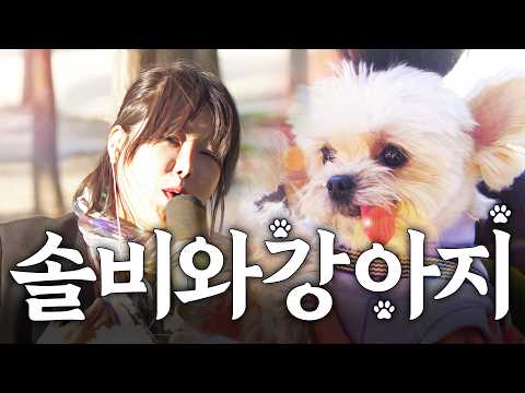 솔비가 슬픈 발라드를 강아지에게 들려주면 생기는 일 thumbnail