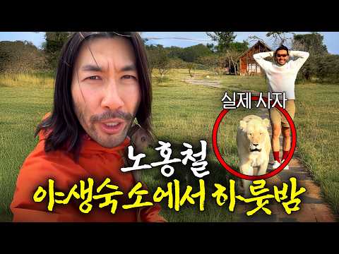 여행에 미친 노홍철도 처음 봤다는 '아프리카 야생숙소' 내부는? (1박에 150만원) thumbnail
