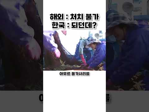 방법이 없으면 만들어버리는 민족 thumbnail