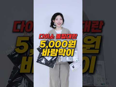 다이소 대란!!5천 원 바람막이,와이드 팬츠 다 사봄ㅋㅋ브랜드들 운다😂 thumbnail