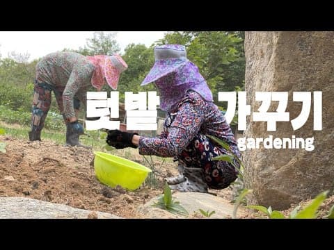 [천우희의 heestory] 엄마의 텃(세)밭 가꾸기 thumbnail