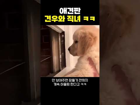 누가 차태현이고 누가 전지현이야?ㅋㅋ thumbnail