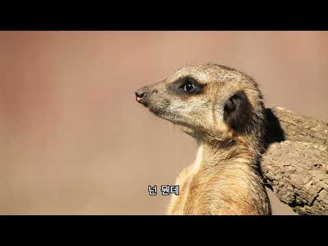정리하고 가(original) thumbnail