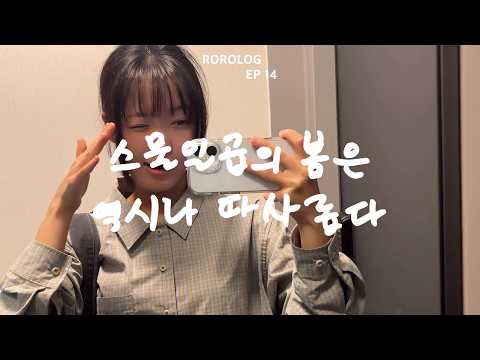 [ROROLOG.14] 스물일곱의 봄은 역시나 따사롭다 thumbnail