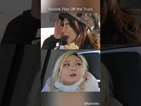 Starlink Flies Off the Truck (ft. @MiaMakesMusic1 @TheSushiDragon) thumbnail