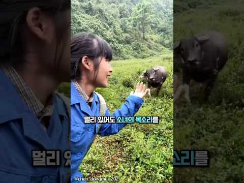 20년을 함께한 특별한 친구 thumbnail